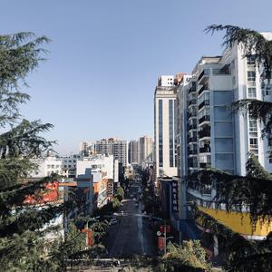 猫咪免费人成网站在线观看入口
